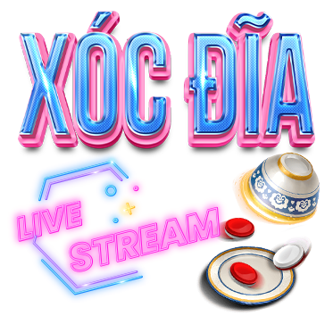 X&oacute;c đĩa mm99